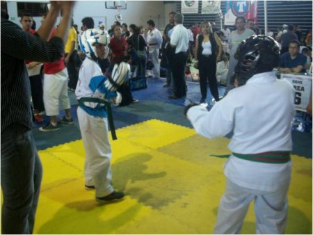 Segunda pelea